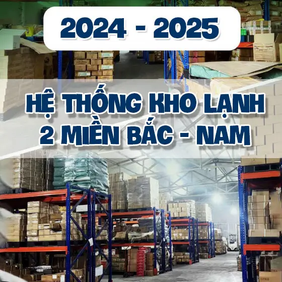 Nâng cấp năng lực kho vận