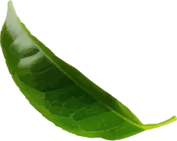 DiepTra