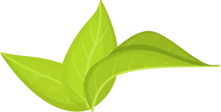 DiepTra