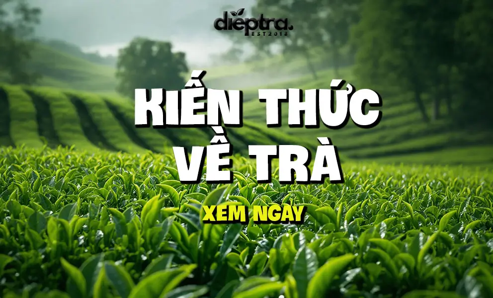Kiến thức pha chế